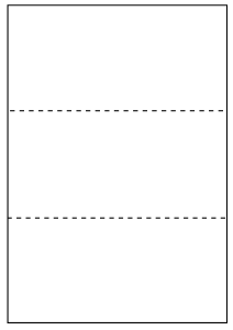 Fragtlabel laser 210 x 99 mm