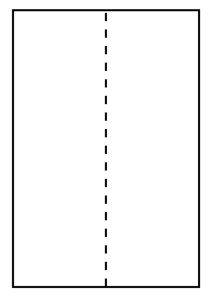 Fragtlabel laser 105 x 297 mm