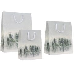 Luksuspose Forrest by the lake